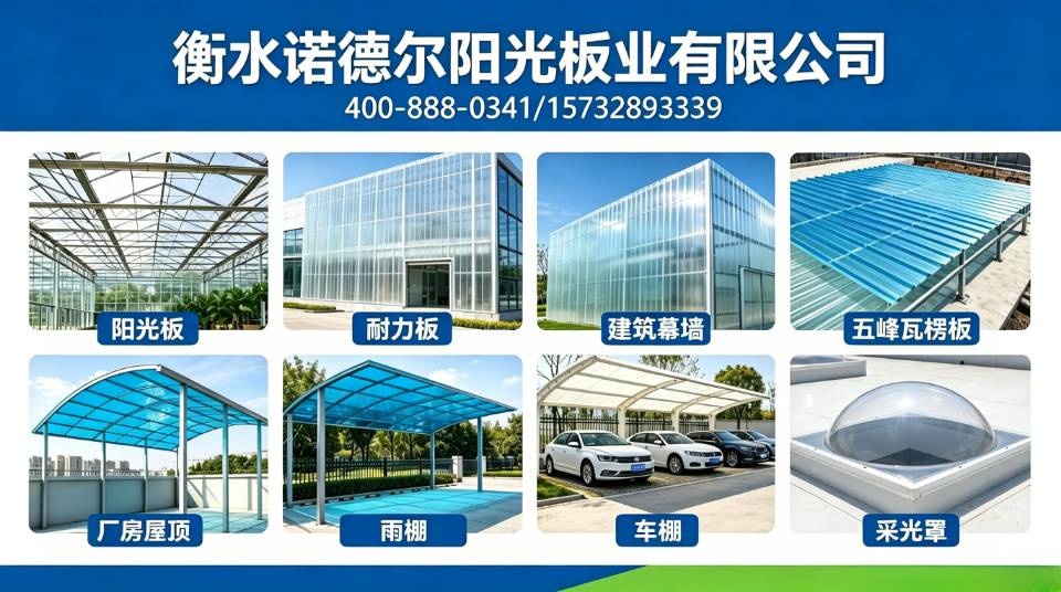 衡水诺德尔阳光板业有限公司 实景